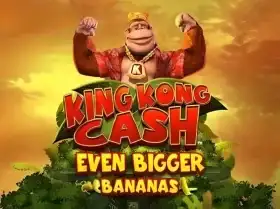đá gà cựa dao casino